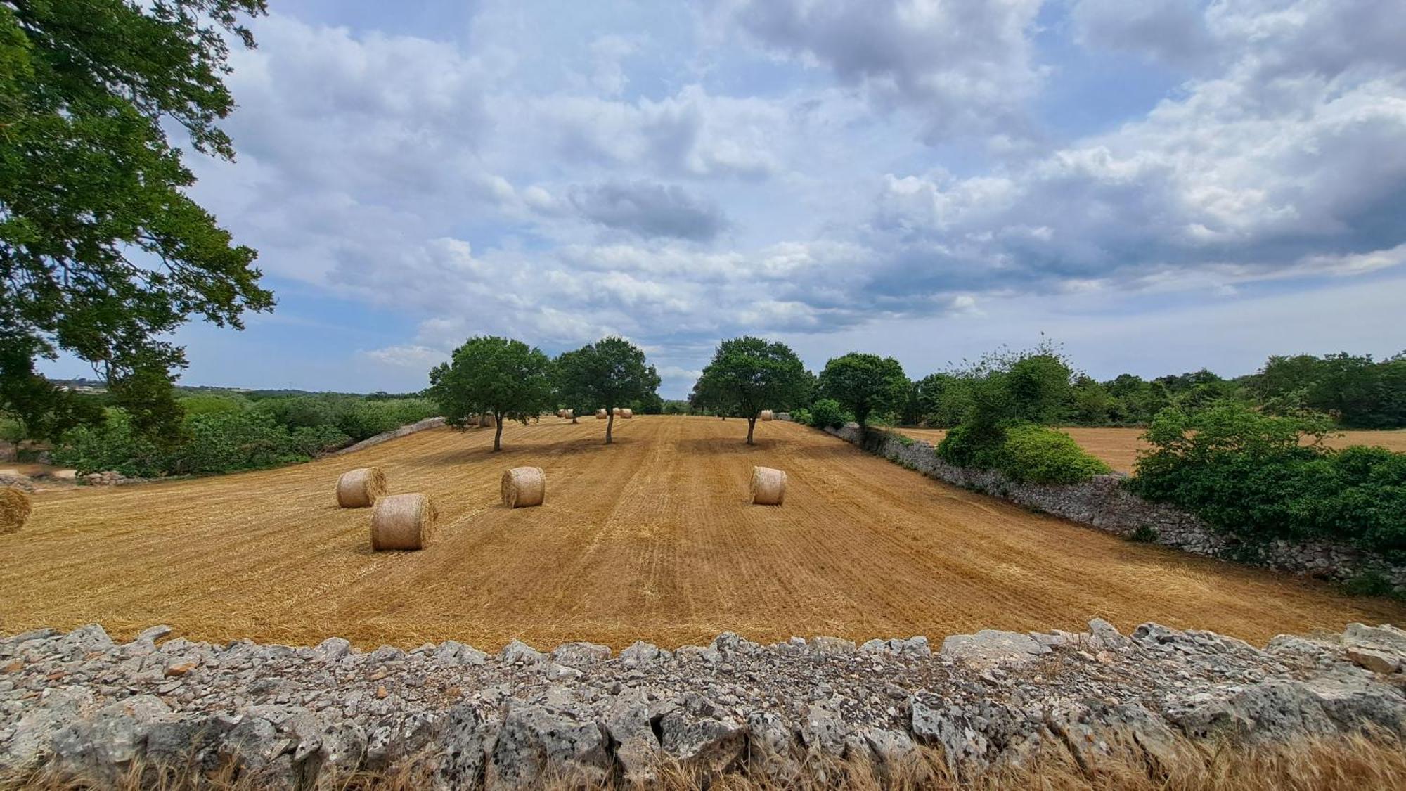 Casolare Di Puglia Villa Noci Exterior foto